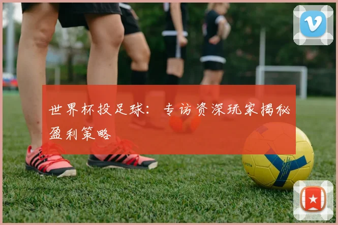 世界杯投足球：专访资深玩家揭秘盈利策略