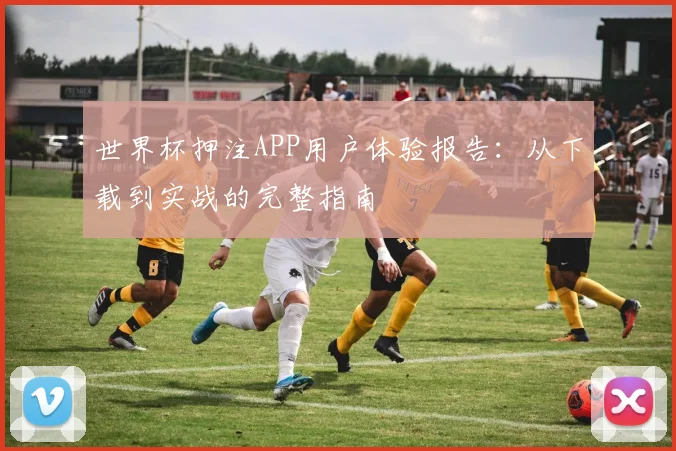 世界杯押注APP用户体验报告：从下载到实战的完整指南