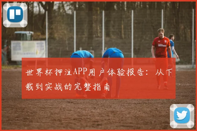 世界杯押注APP用户体验报告：从下载到实战的完整指南