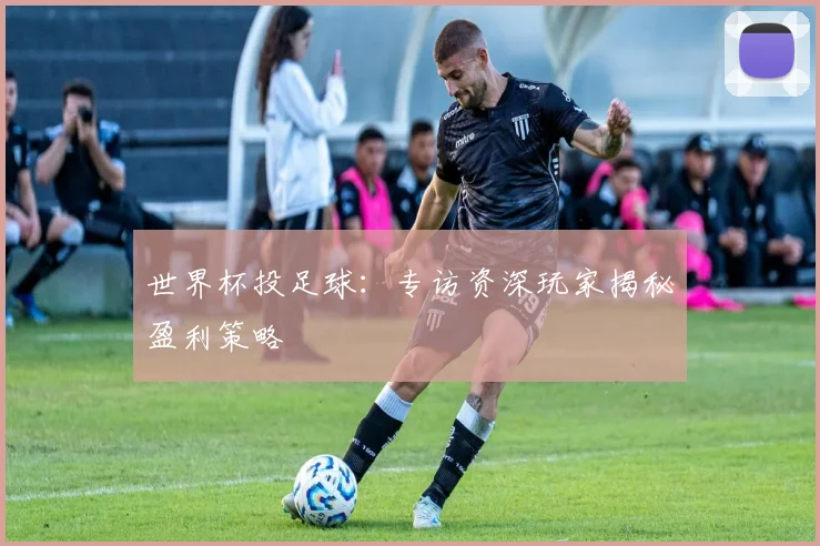 世界杯投足球：专访资深玩家揭秘盈利策略