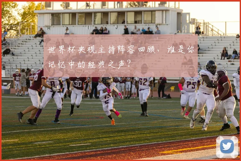 世界杯央视主持阵容回顾,谁是你记忆中的经典之声?