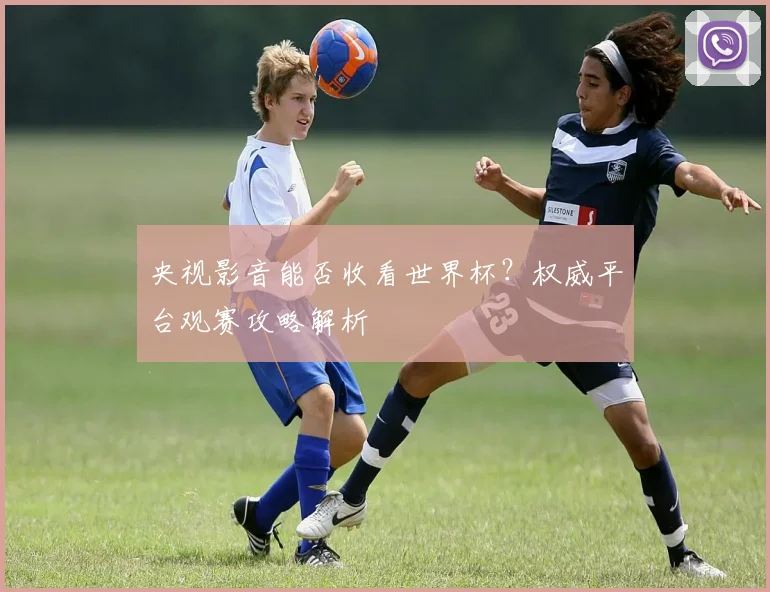 央视影音能否收看世界杯?权威平台观赛攻略解析