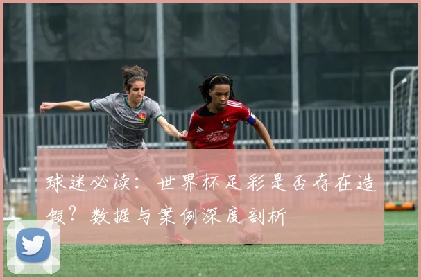 球迷必读：世界杯足彩是否存在造假？数据与案例深度剖析