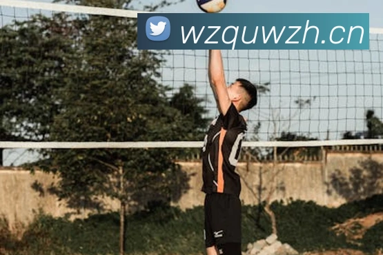 爱游戏ayx官方首页服务体系